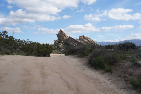 Enlarge photo 45