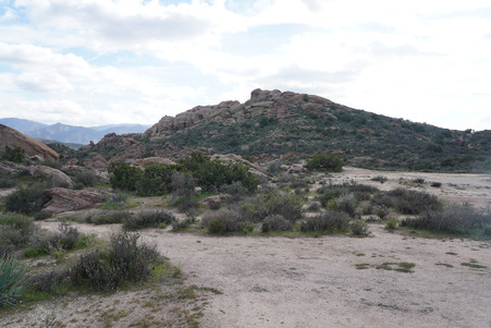 Enlarge photo 7