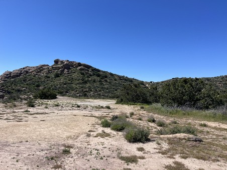 Enlarge photo 23