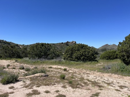 Enlarge photo 28
