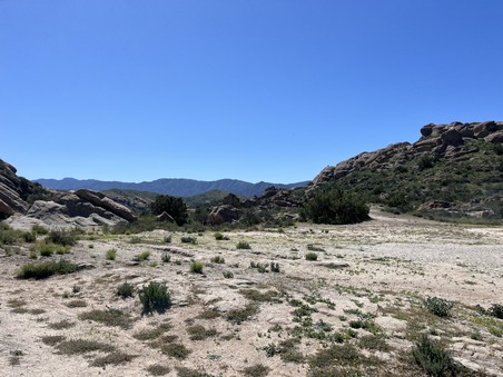 Enlarge photo 24