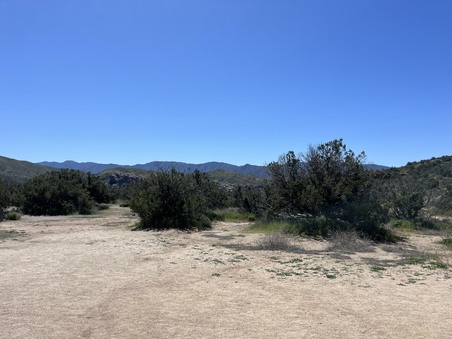 Enlarge photo 41