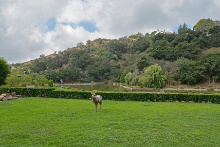 Enlarge photo 134