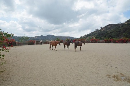 Enlarge photo 175