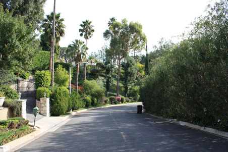 Enlarge photo 16