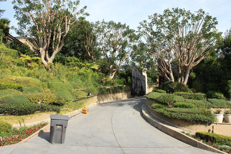 Beverly Hills_1100 Carolyn Way_1916