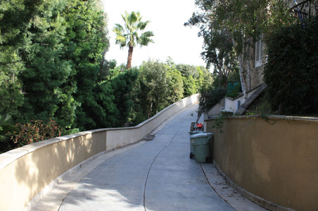 Enlarge photo 44