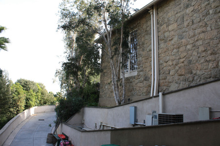 Enlarge photo 52