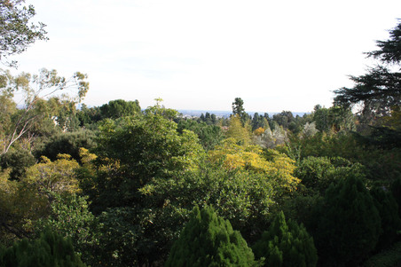 Enlarge photo 67
