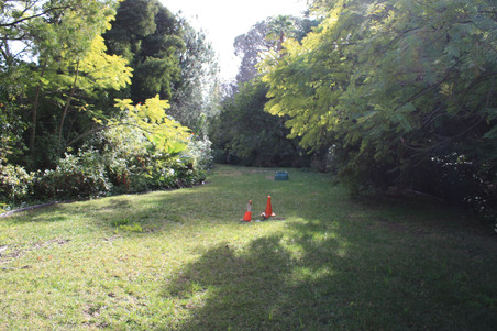 Enlarge photo 36