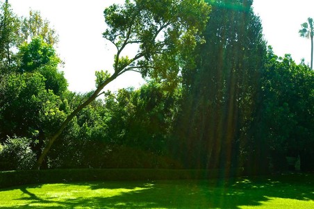 Enlarge photo 6