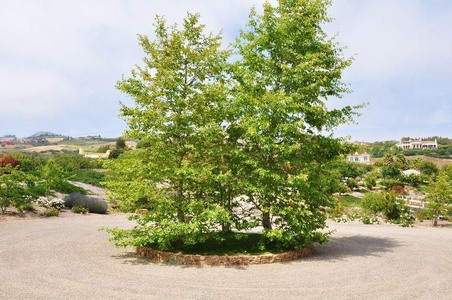 Enlarge photo 8