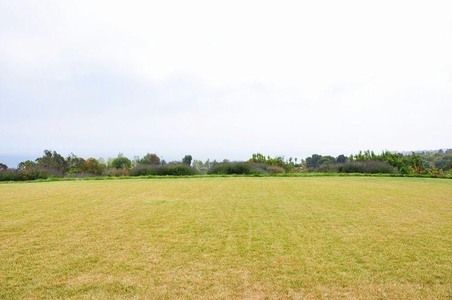 Enlarge photo 137
