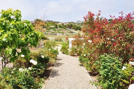 Malibu_8370