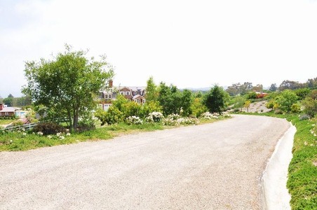 Enlarge photo 46