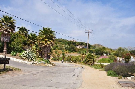Enlarge photo 47