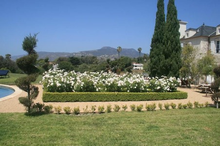 Enlarge photo 10