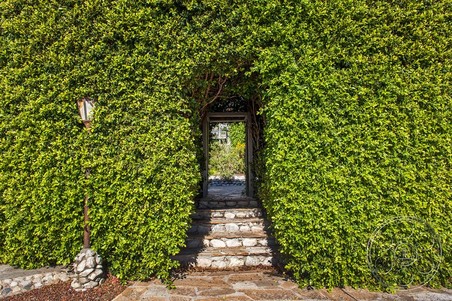 Enlarge photo 3