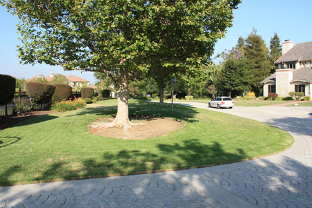 Enlarge photo 18