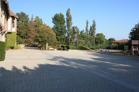 Enlarge photo 66