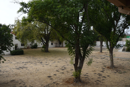 Enlarge photo 7