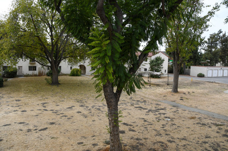 Enlarge photo 8