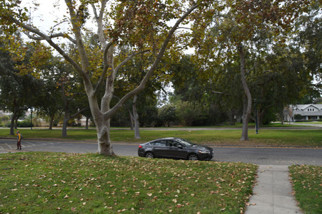 Enlarge photo 21