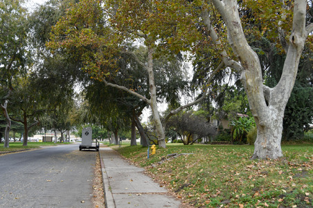 Enlarge photo 3