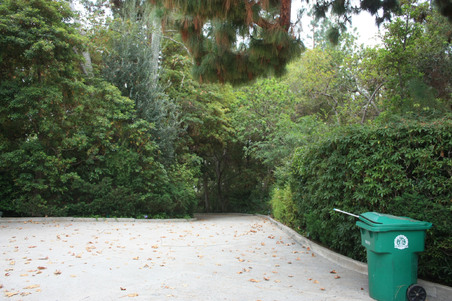 Enlarge photo 111