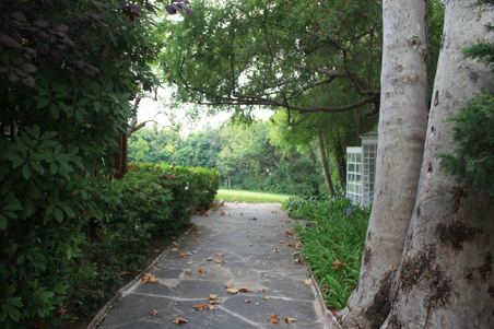 Enlarge photo 110