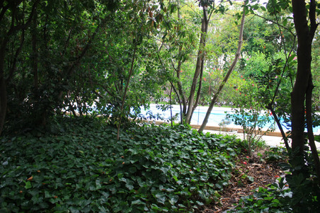 Enlarge photo 84