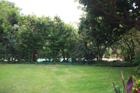 Enlarge photo 82