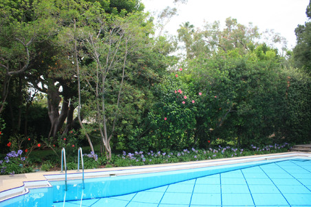 Enlarge photo 74
