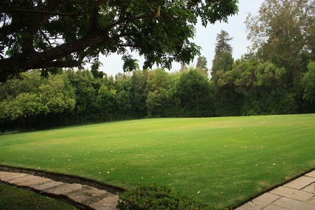 Enlarge photo 53