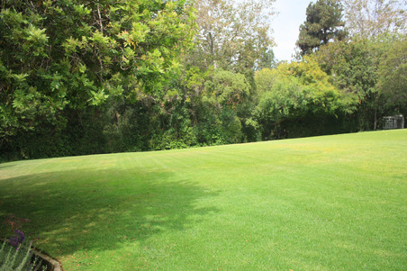 Enlarge photo 47