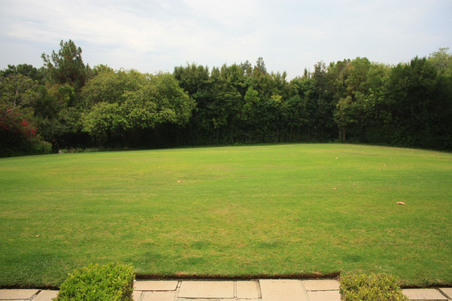 Enlarge photo 42