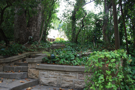 Enlarge photo 3