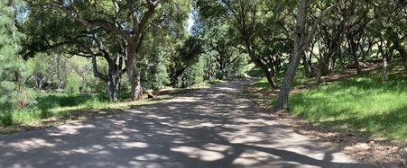 Enlarge photo 11