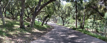 Enlarge photo 10