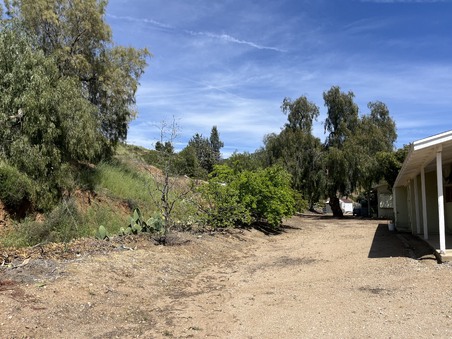 Enlarge photo 15