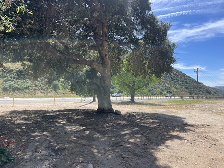 Enlarge photo 18