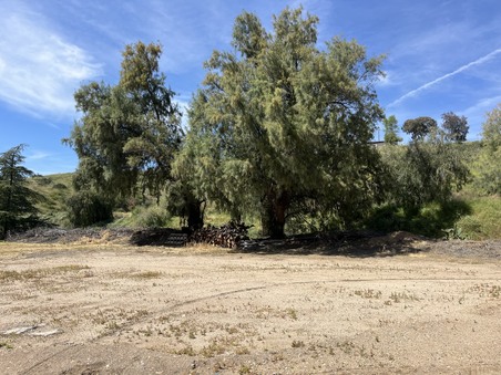 Enlarge photo 26