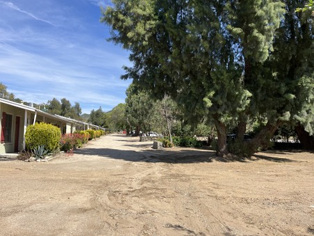 Enlarge photo 35