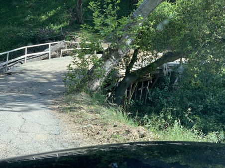 Enlarge photo 10
