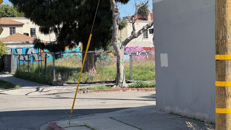 Enlarge photo 42