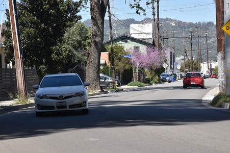 Enlarge photo 21