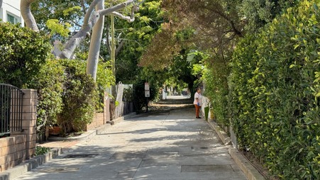 Enlarge photo 26