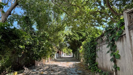 Enlarge photo 35
