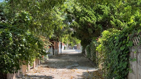 Enlarge photo 36