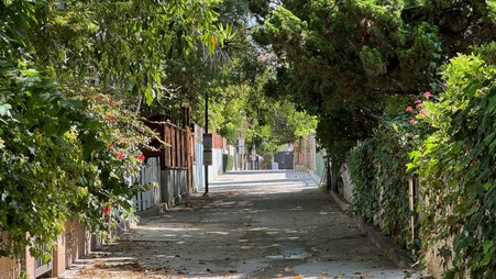 Enlarge photo 37